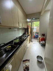 Seletar Hills Estate (D28), Terrace #497583471